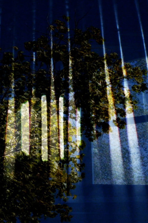 Ekvilibrium (2021) poster