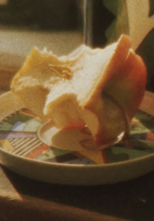 Overland (2016) poster