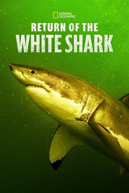 Return of the White Shark (2023) poster