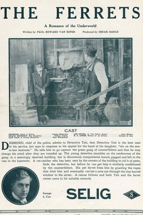The Ferrets (1913) poster