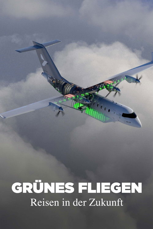 Grünes Fliegen - Reisen in der Zukunft (2024) poster