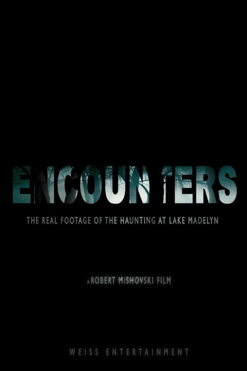 Encounters (2012) poster