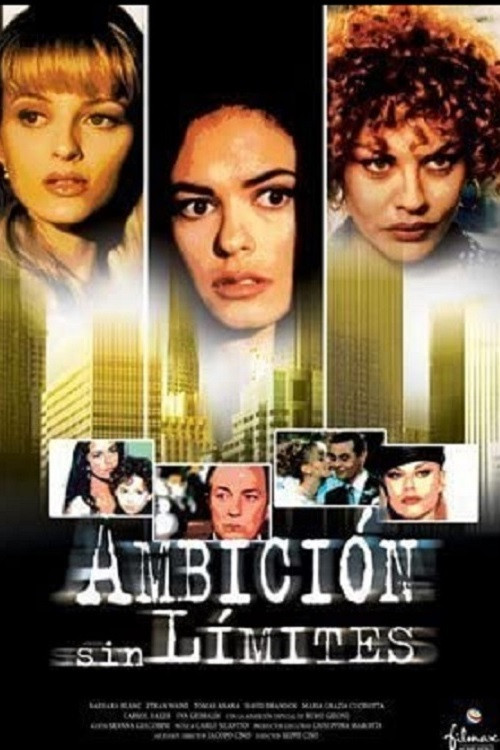 La signora della città (1996) poster