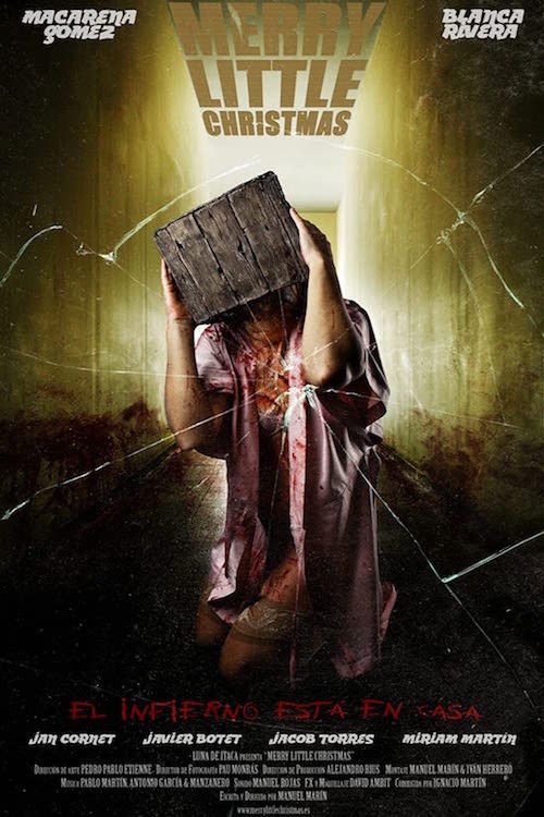 Merry Little Christmas (2010) poster