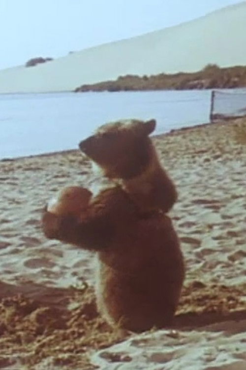 Little Bear (1981) poster