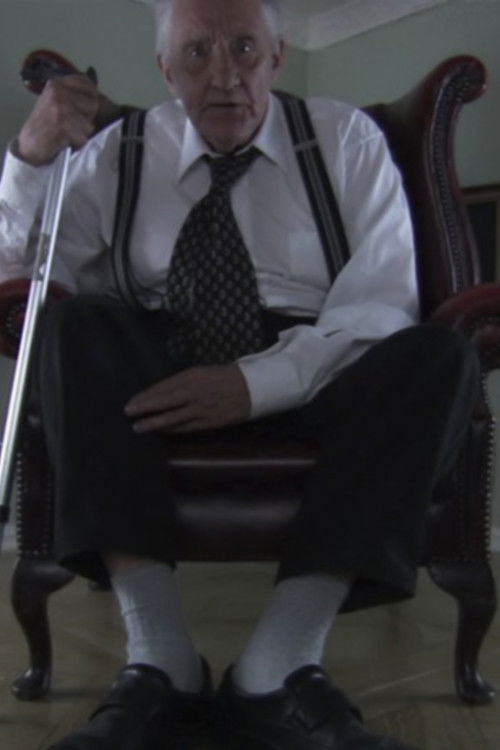 Portrait of a Reluctant Gentleman (2008) poster