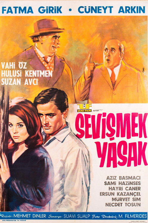 Sevişmek Yasak (1965) poster