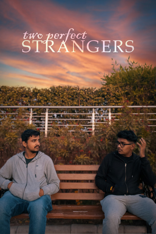 Two Perfect Strangers (2022) poster