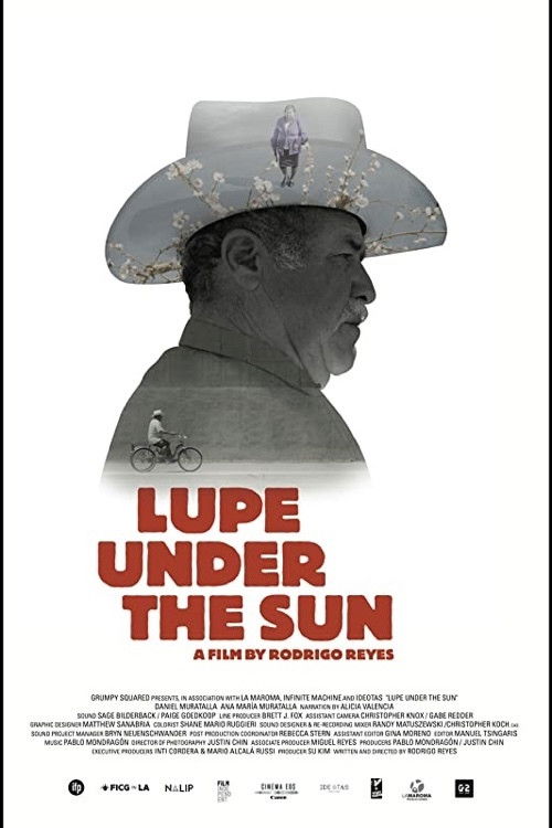 Lupe Under the Sun (2016) poster