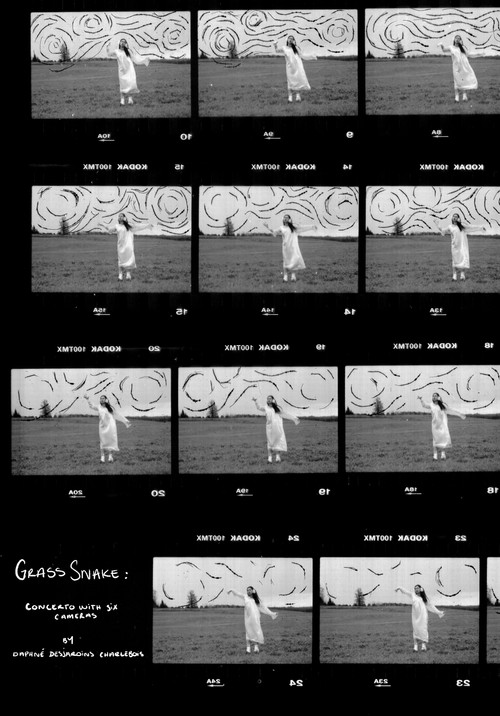 Couleuvre: concerto à six caméras (2022) poster