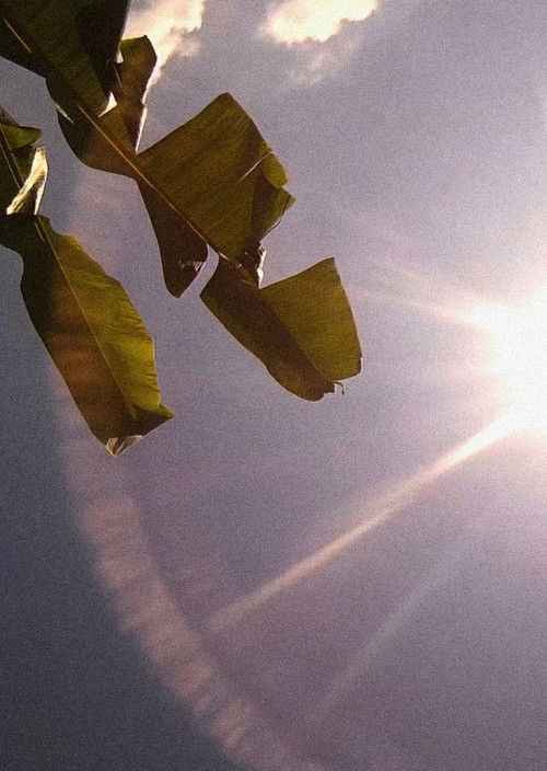 Amérika: Bahia de las Flechas (2016) poster