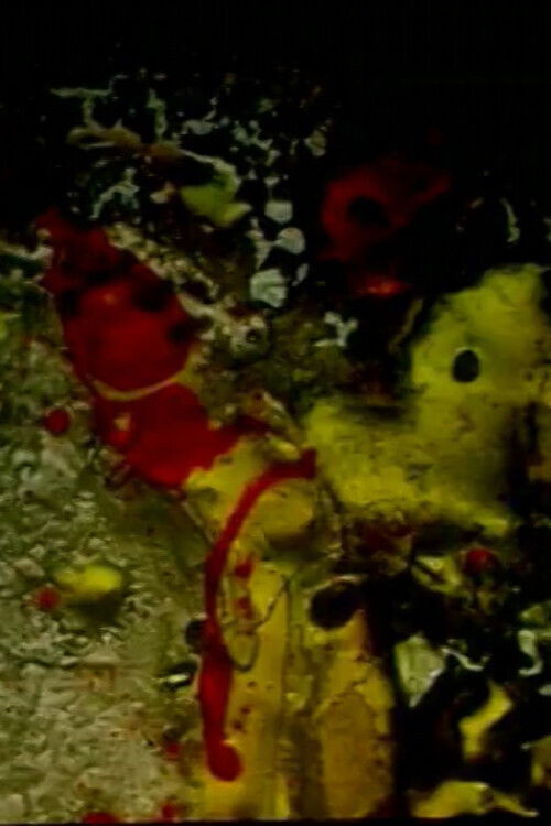 vitrum illuminatus (2002) poster