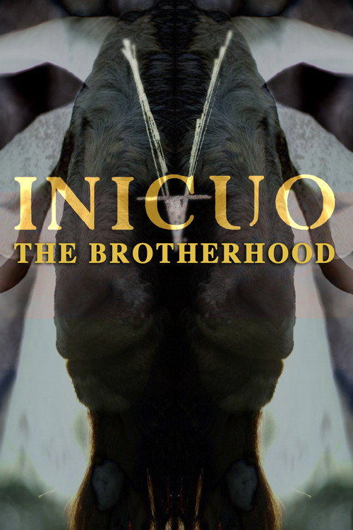 Inicuo: La Hermandad (2016) poster