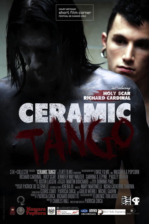 Ceramic Tango (2013) poster