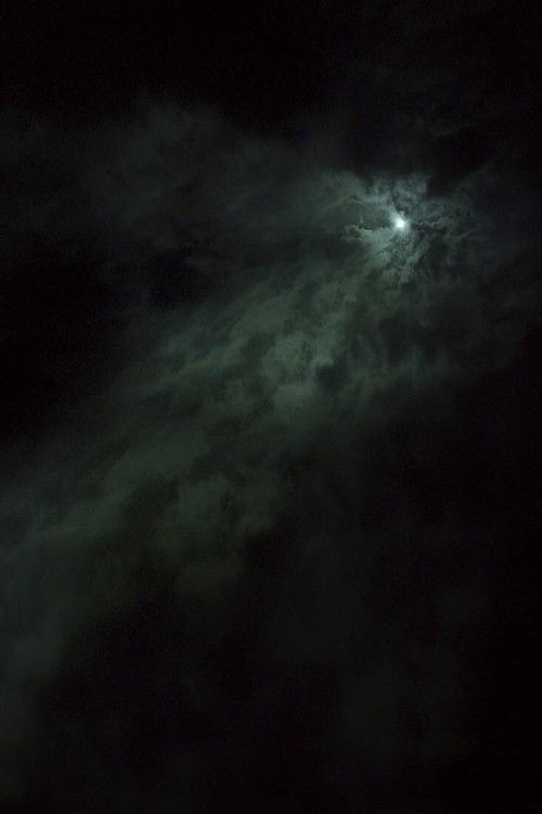 The Sea Behind Her Head poster