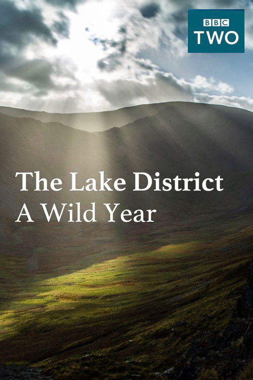 The Lake District: A Wild Year (2017) poster