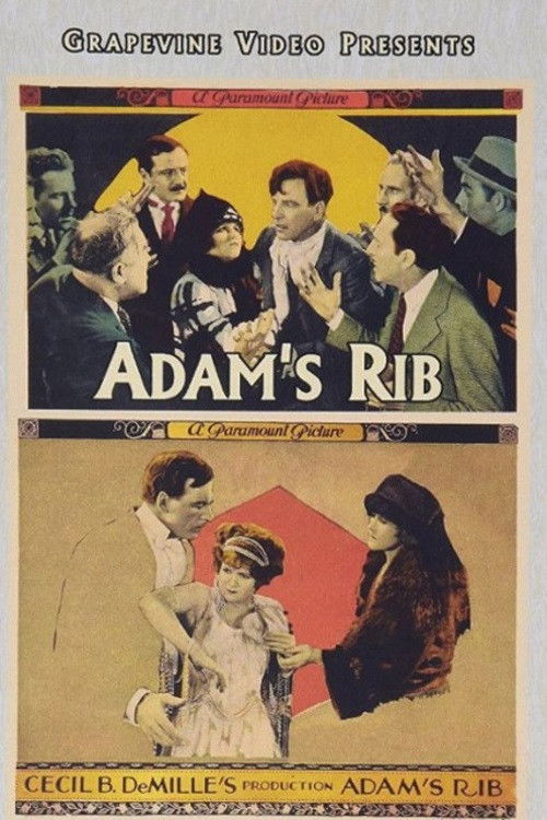 Adam's Rib (1923) poster