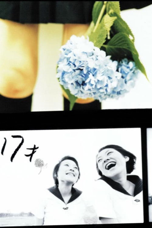 17才 (2003) poster