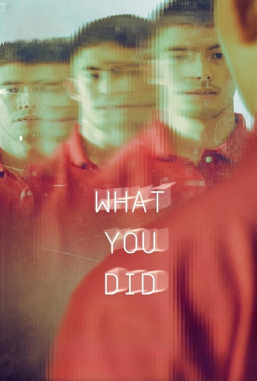 What You Did (2024) poster