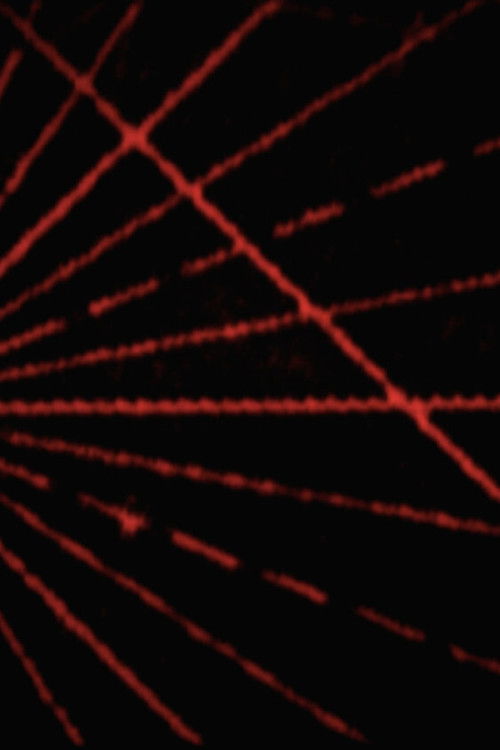 noonwraith blues (2020) poster