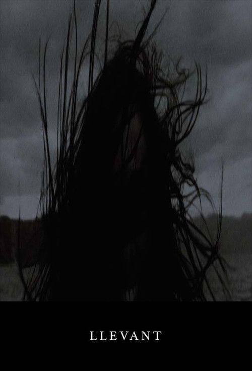 Llevant (2020) poster