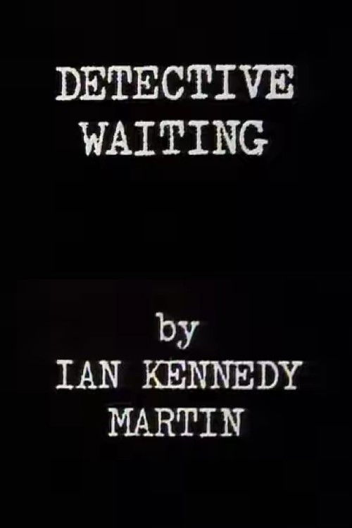 Detective Waiting (1971) poster