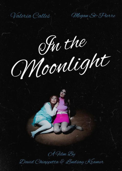 in the moonlight (2025) poster