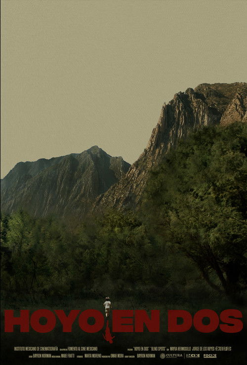 Hoyo en dos (2024) poster