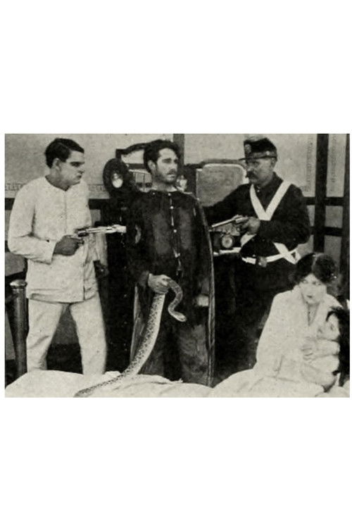 The Rattlesnake (1913) poster