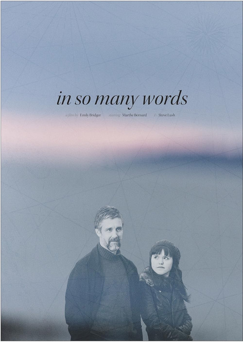 In So Many Words (2016) poster