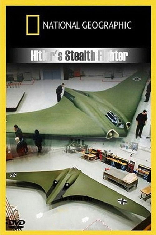 Hitler's Stealth Fighter (2011) poster