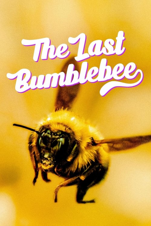 The Last Bumblebee (2024) poster