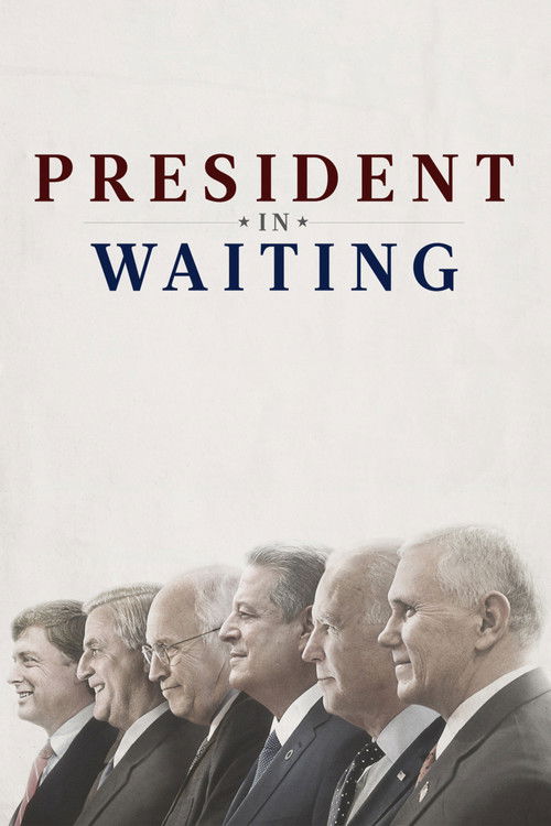 President in Waiting (2020) poster