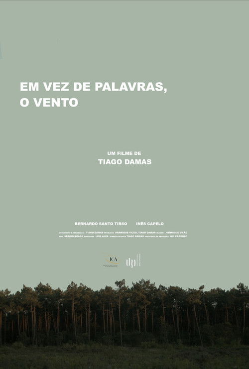 Em vez de palavras, o vento (2017) poster