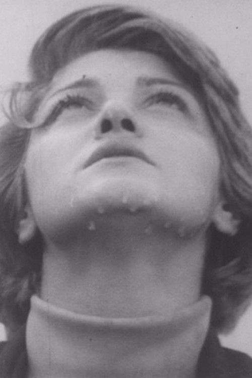 بهار پشت پنجره (1973) poster