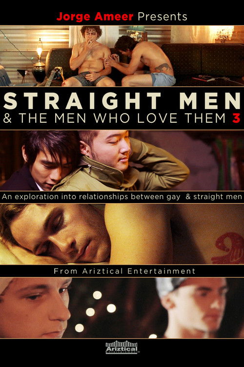 Straight Men & the Men Who Love Them 3 (2014) poster