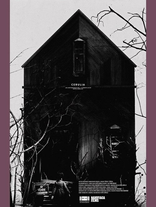 Martyris (2010) poster