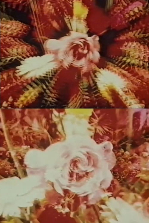 Contemplation of the Rose (1973) poster