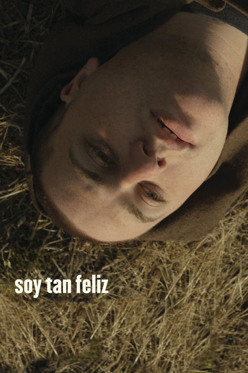 I Am So Happy (2011) poster