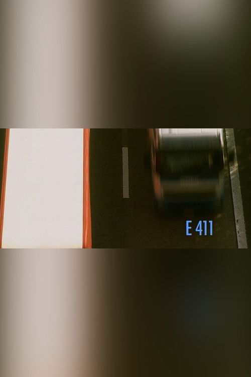 E411 (2007) poster