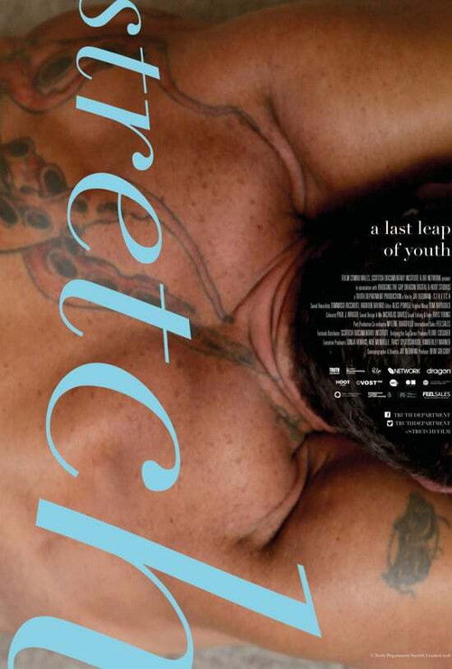 Stretch (2018) poster