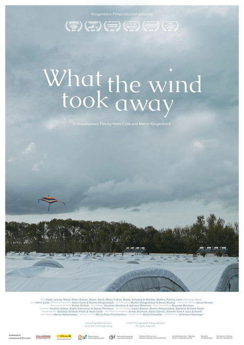What the Wind Took Away (2017) poster
