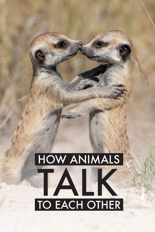 How Animals Talk To Each Other (2024) poster