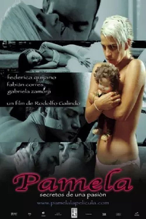 Pamela: secretos de una pasión (2008) poster