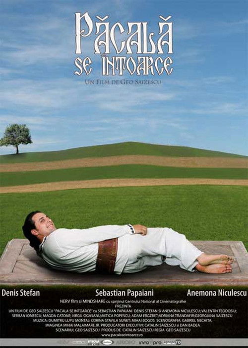 Păcală se întoarce (2006) poster