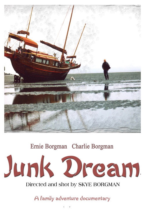 Junk Dreams (2010) poster