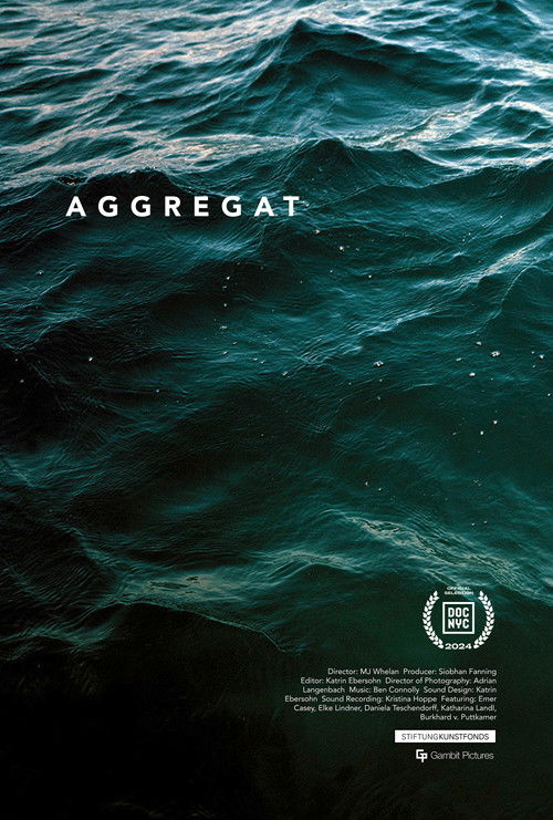 Aggregat (2024) poster