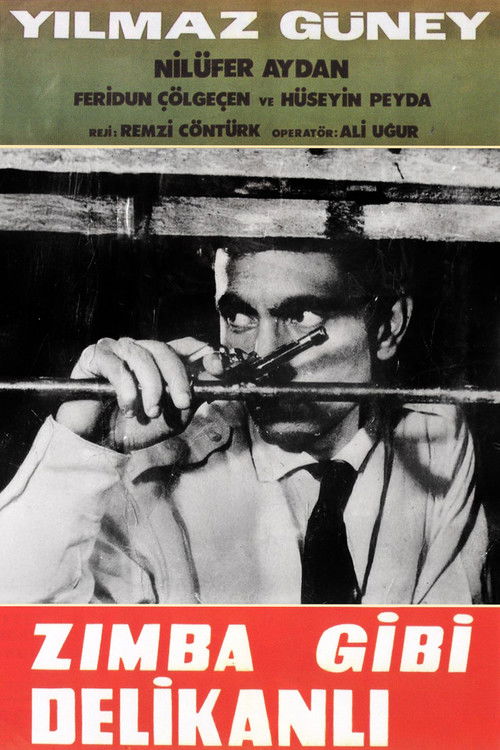 Zımba Gibi Delikanlı (1964) poster