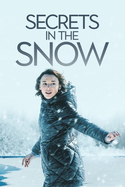 Secrets in the Snow (2020) poster