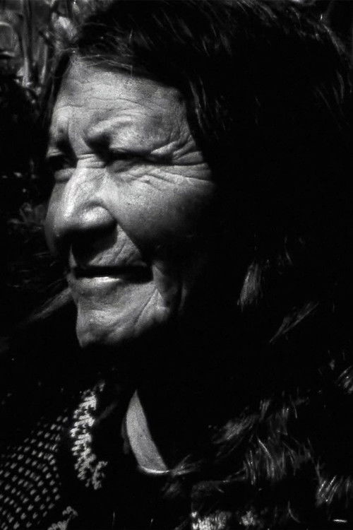 Manu: A Visual Album (2023) poster